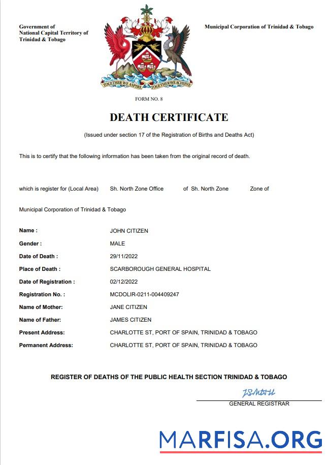 Realistisch Trinidad und Tobago Tod Zertifikat Word and PDF Vorlage