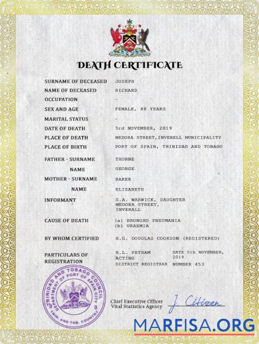 Hohe Qualität Trinidad und Tobago vital record Tod Zertifikat PSD Vorlage