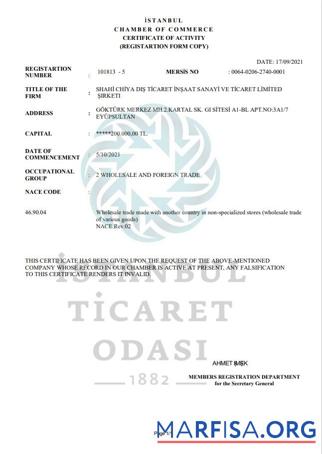 Hohe Qualität Türkei Istanbul Zertifikat of Activity Vorlage in Word and PDF Format