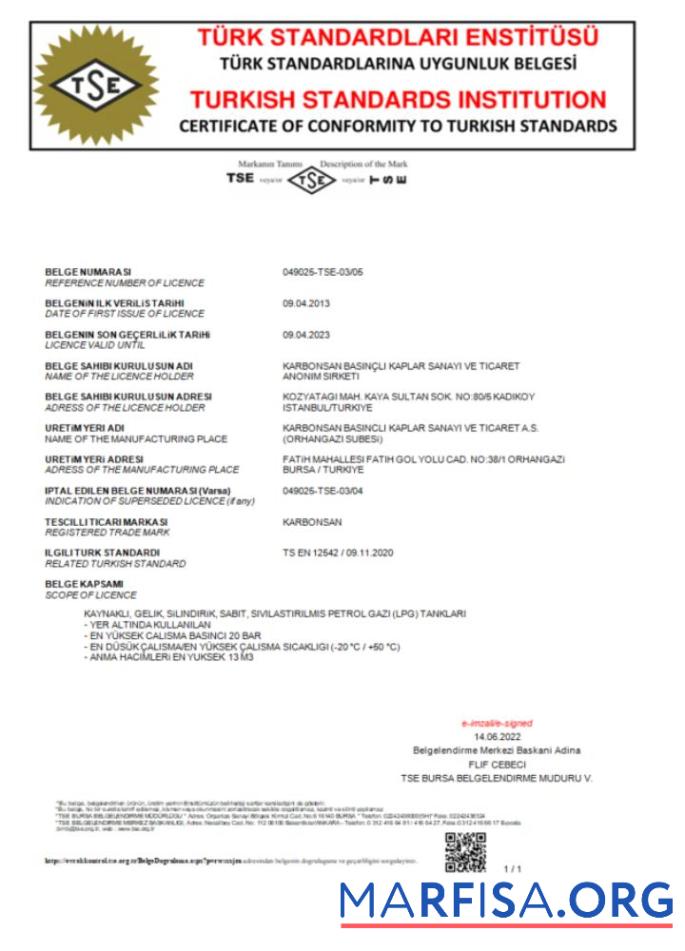 Realistisch Türkei Turkish Standard Institution Zertifikat of comformity to turkish standards Word and PDF Vorlage scr