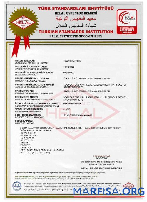 Turkish Standards Institution Zertifikat 1 Vorschau