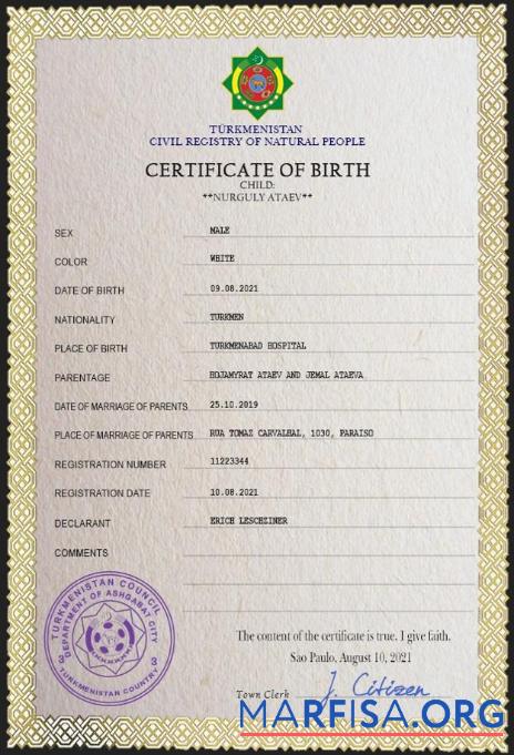 Hohe Qualität Turkmenistan vital record Geburt Zertifikat PSD Vorlage