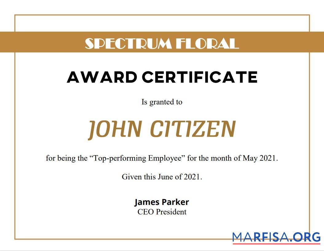 USA Award Zertifikat Probe