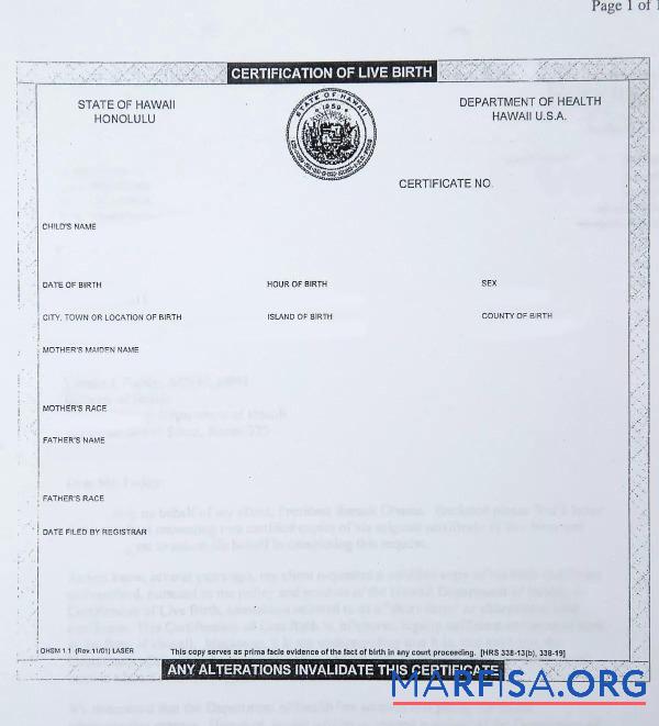 USA Department of Gesundheit Hawaii Geburt Zertifikat Probe