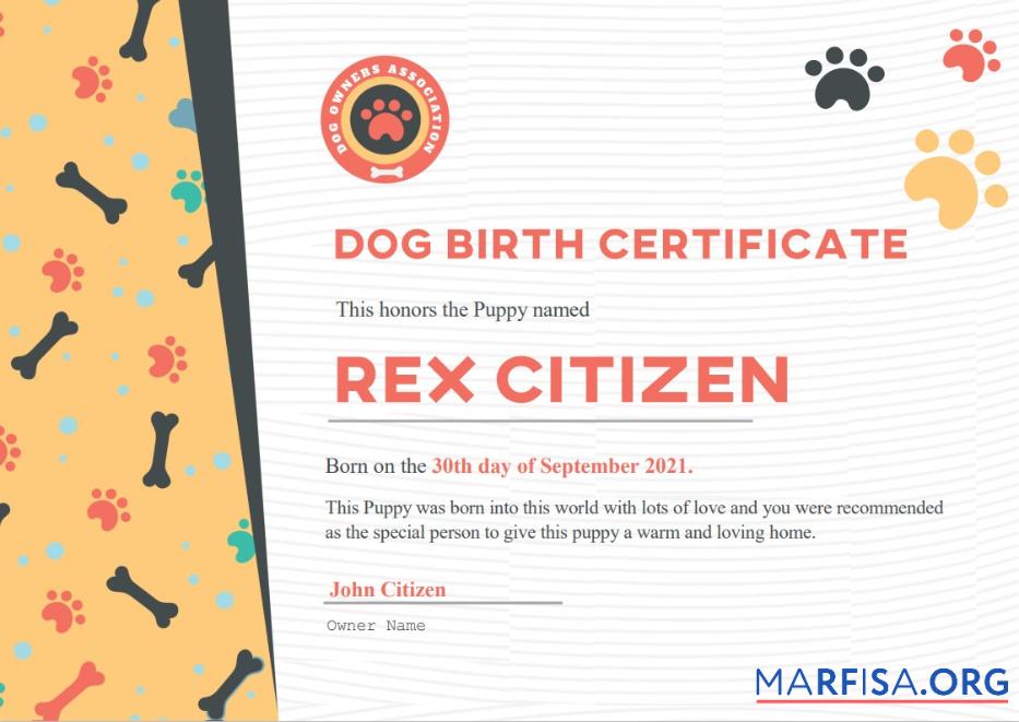 USA Dog Geburt cert Probe