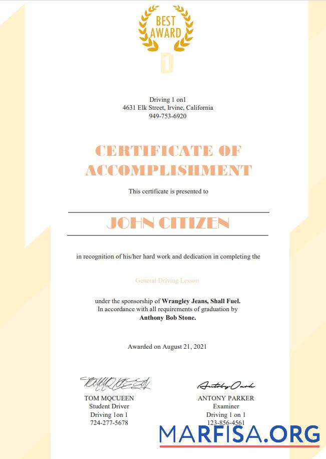 USA Führerschein Cert Probe