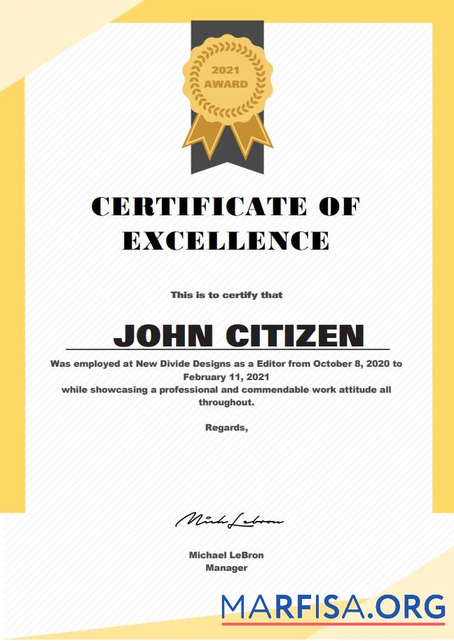 USA Excellence Cert Vorlage