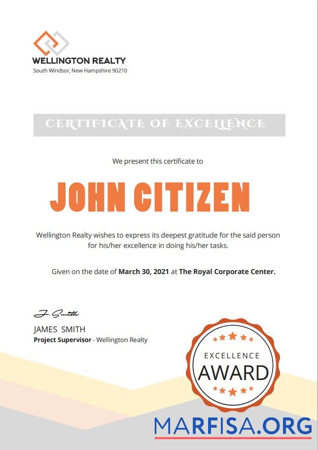 USA Excellence cert Version 2 Vorschau