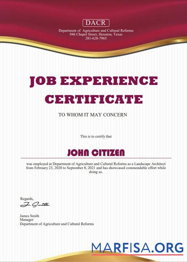USA Job experience cert Mockup