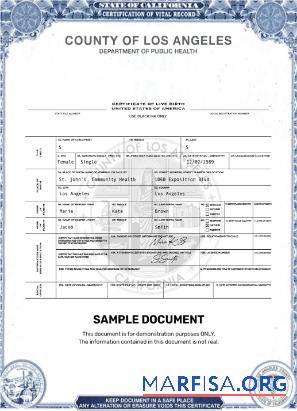 USA Los Angeles Zertifikat of live Geburt Mockup