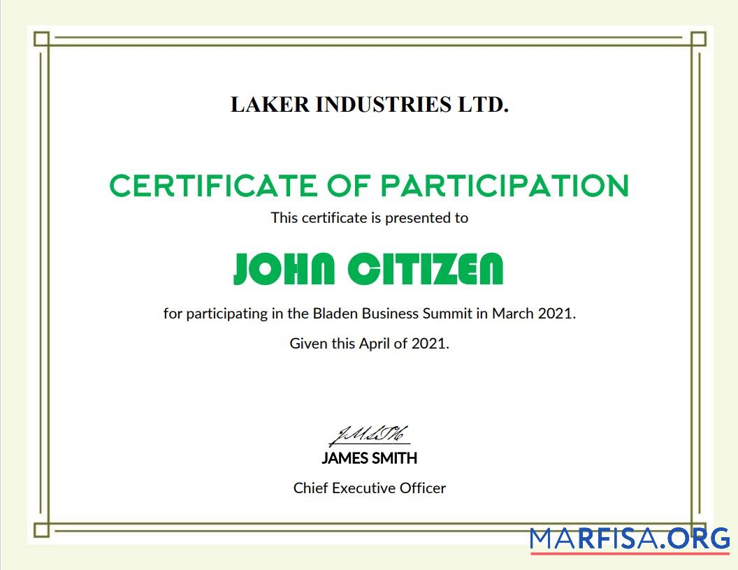 USA Modern Participation cert Design