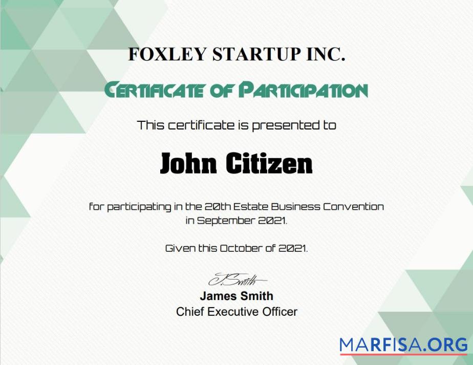 USA Participation cert Design
