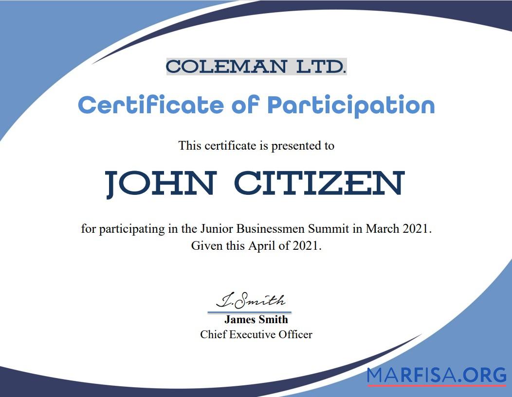USA Program Participation cert Vorschau