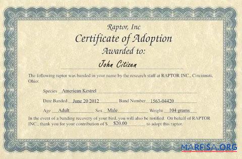 USA Raptor Inc Zertifikat of adoption Vorschau