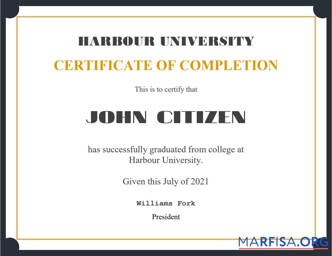 USA Recognition Cert Probe