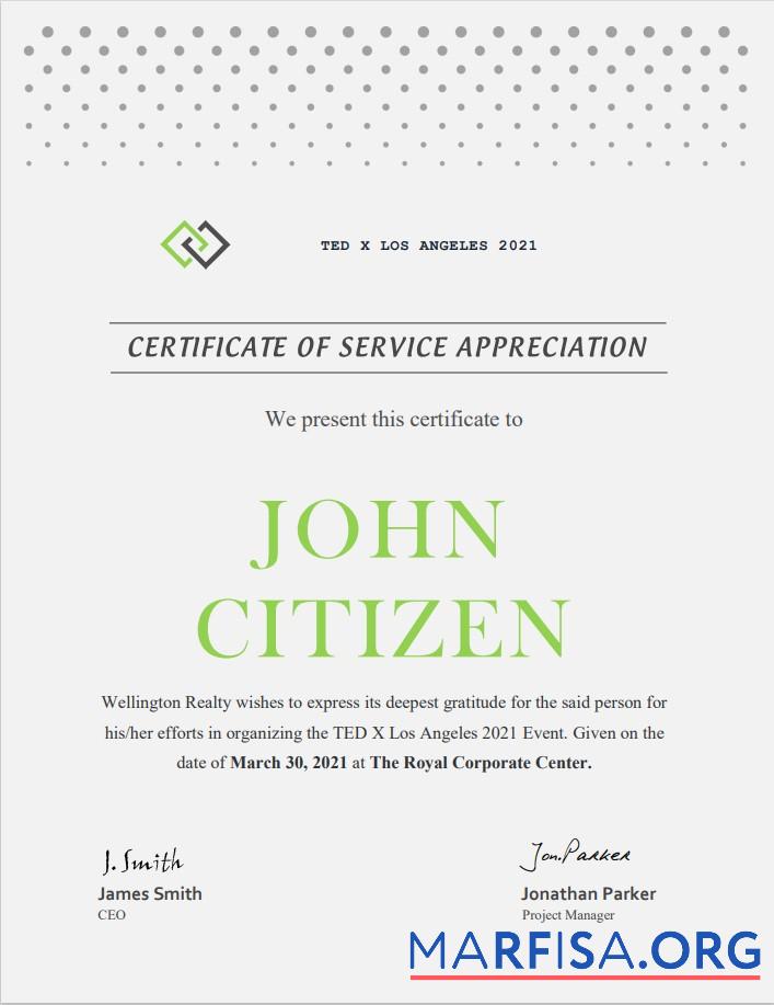 USA Service Zertifikat Design