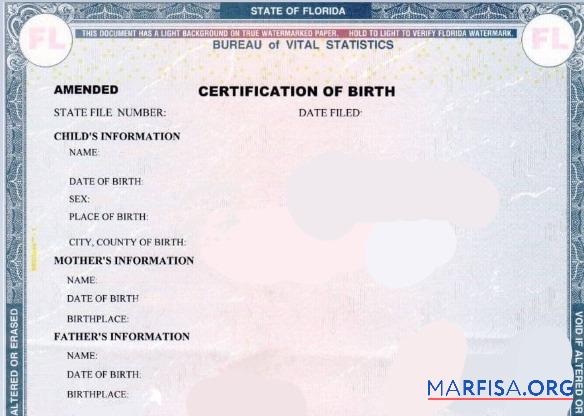 Vereinigte Staaten State office of Florida Vital Statistik Zertifizierung of Geburt Mockup