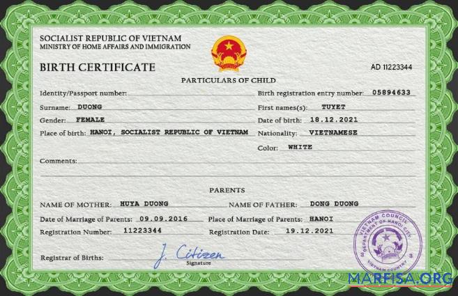 Professionell Vietnam Geburt Zertifikat PSD Vorlage