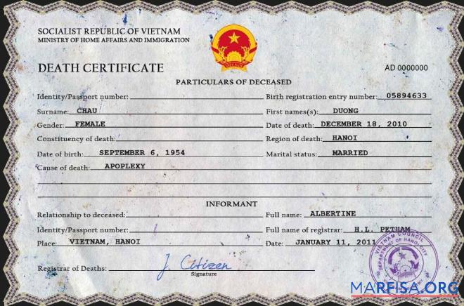 Professionell Vietnam Tod Zertifikat PSD Vorlage