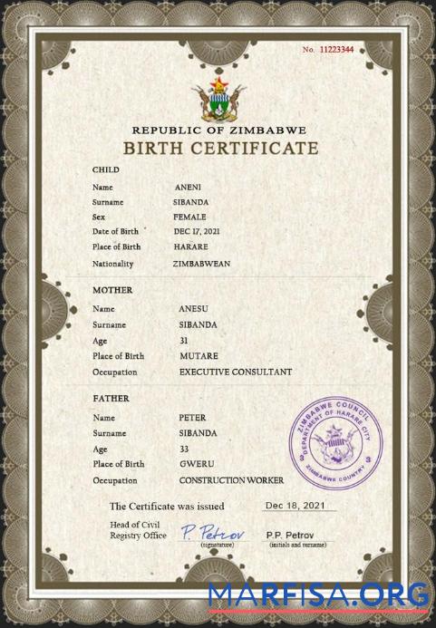 Professionell Simbabwe vital record Geburt Zertifikat PSD Vorlage