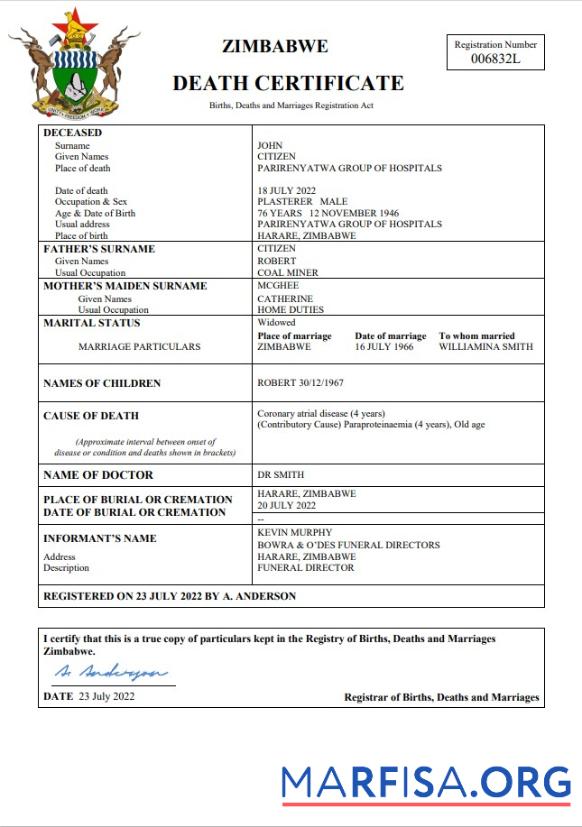 Premium Simbabwe vital record Tod Zertifikat Word and PDF Vorlage