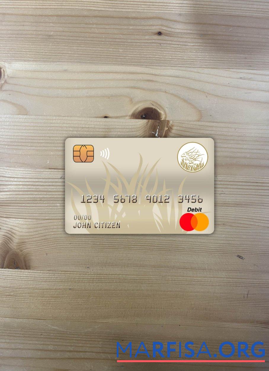 Центральноафриканская Республика Банковский of Central African States (BEAC) Банковский mastercard фотообраз Лицевая сторона образец
