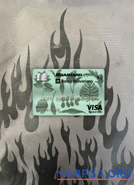 Эквадор Banco Bolivariano Банковский Виза Подпись Карта фотообраз Лицевая сторона шаблон