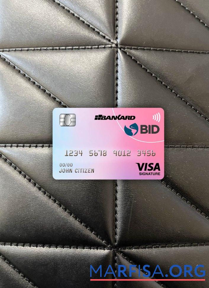Эквадор Banco Interamericano de desarrollo (BID) Банковский Виза Подпись Карта фотообраз Лицевая сторона предпросмотр