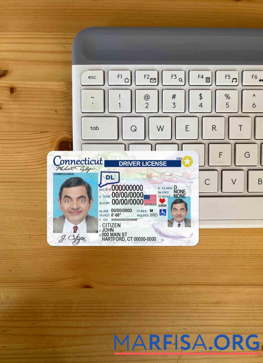 США Connecticut DL фотообраз Лицевая сторона образец