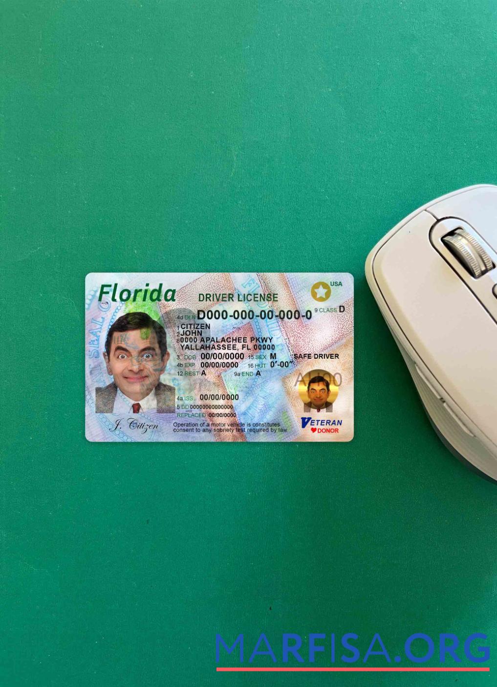 США Florida DL фотообраз Лицевая сторона макет