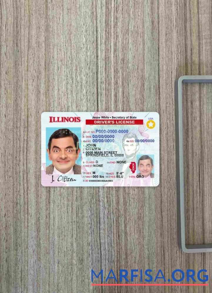 США Illinois DL фотообраз Лицевая сторона образец