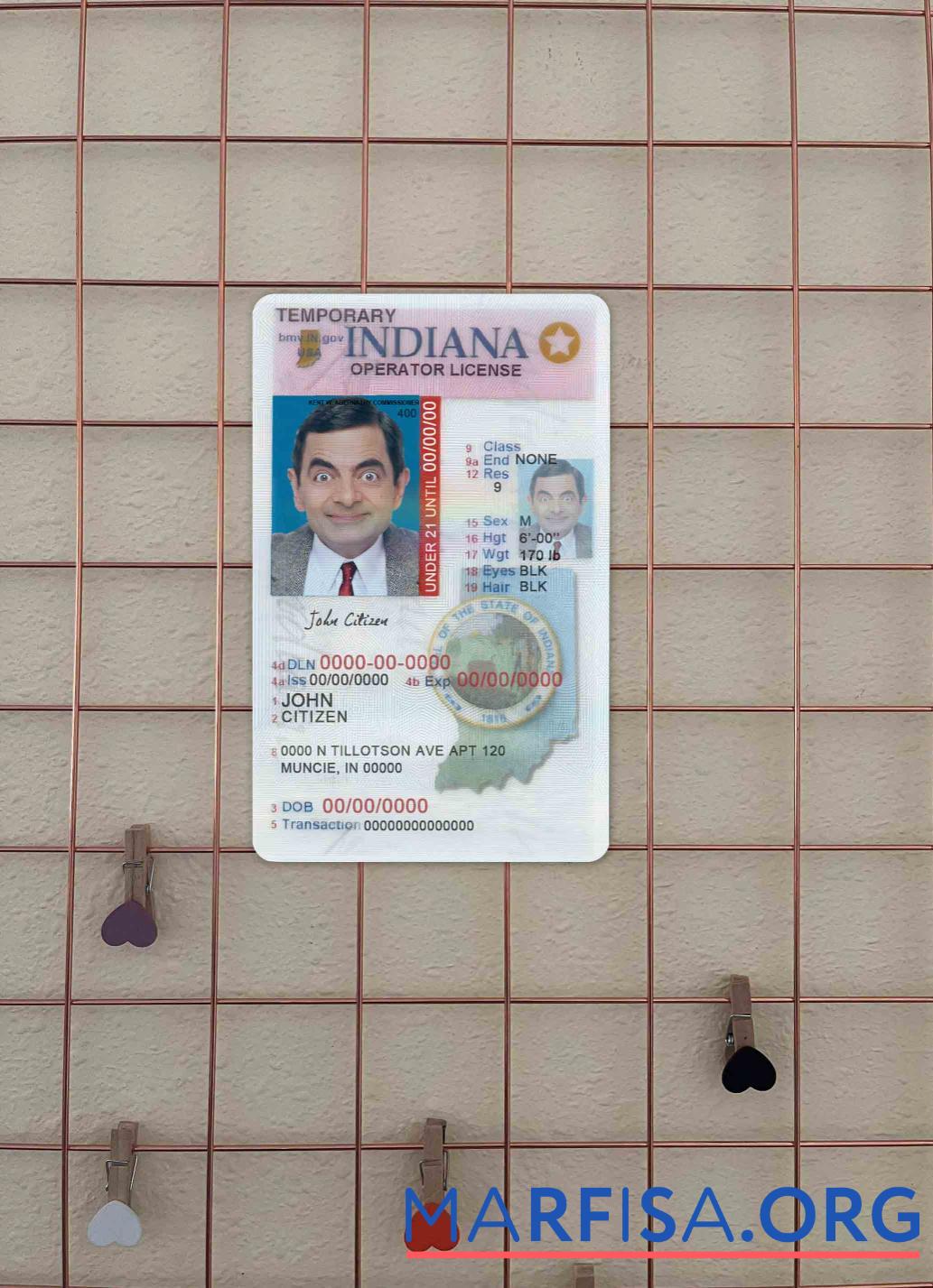 США Indiana Водительское удостоверение (operator) Лицензия under 21 фотообраз Лицевая сторона макет