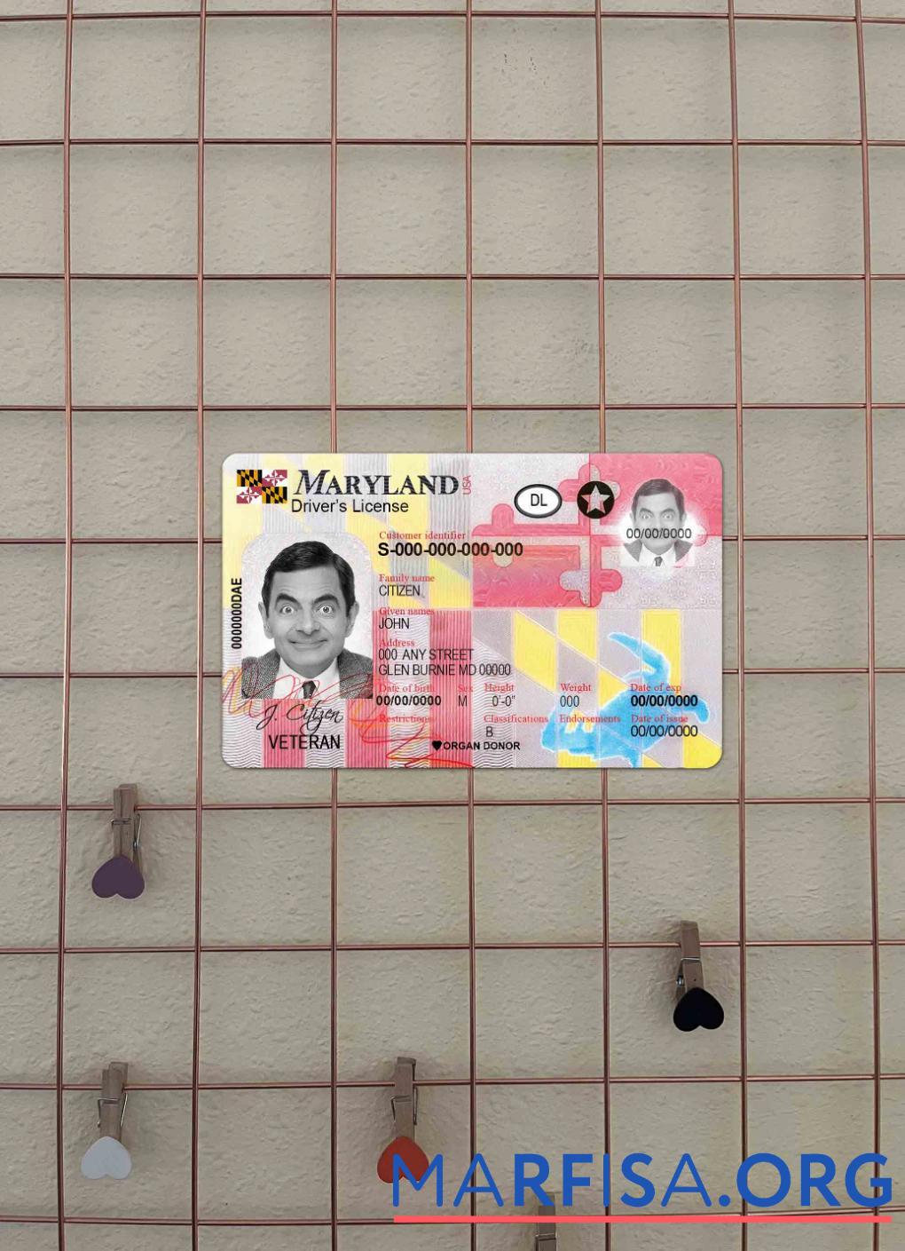 США Maryland DL 2016 Настоящий фотообраз Лицевая сторона макет