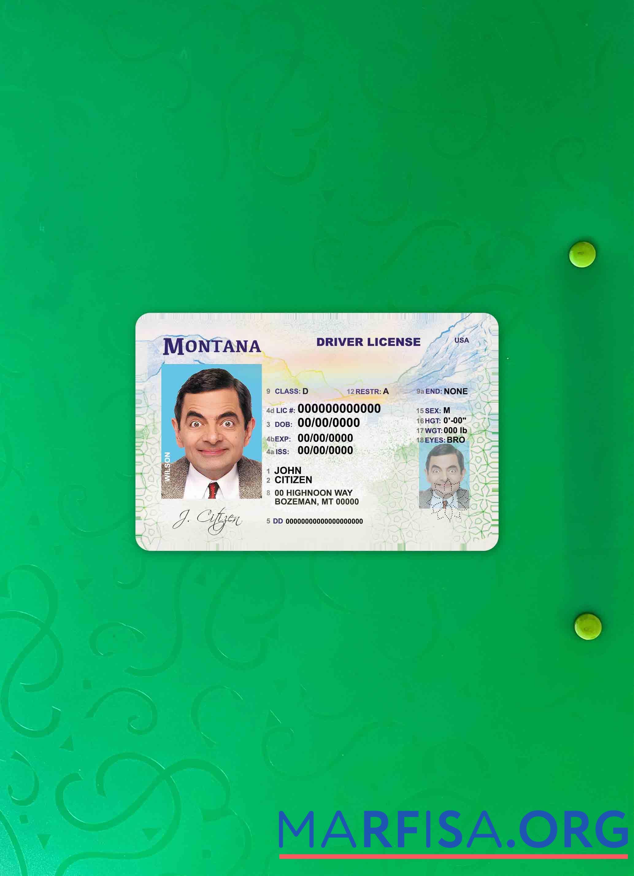 США Montana DL фотообраз Лицевая сторона шаблон