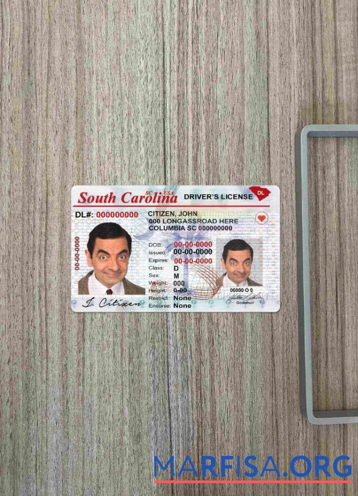 США South Carolina DL фотообраз Лицевая сторона шаблон