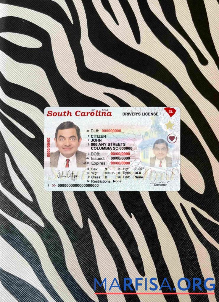 США South Carolina state Водительское удостоверение(2020 ΓÇô Настоящий) фотообраз Лицевая сторона дизайн