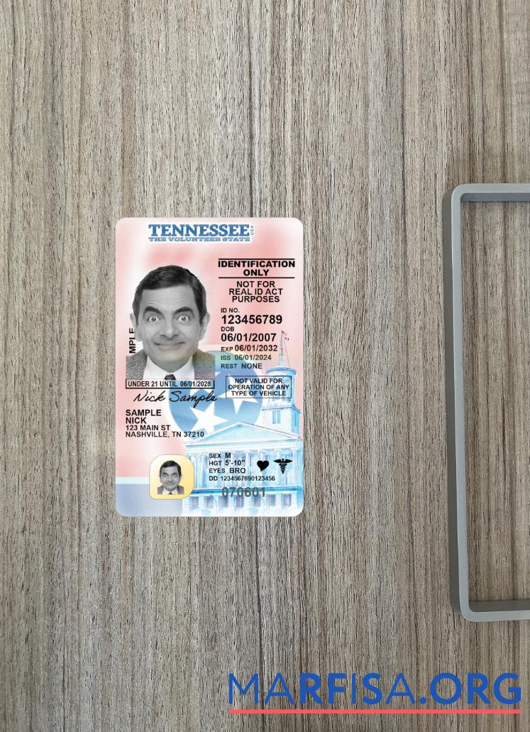 США Tennessee under 21 Водительское удостоверение 2024 Настоящий фотообраз Лицевая сторона макет