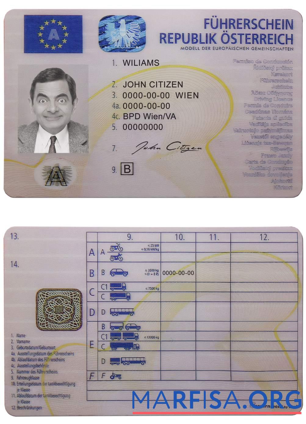 Österreich Führerschein Design
