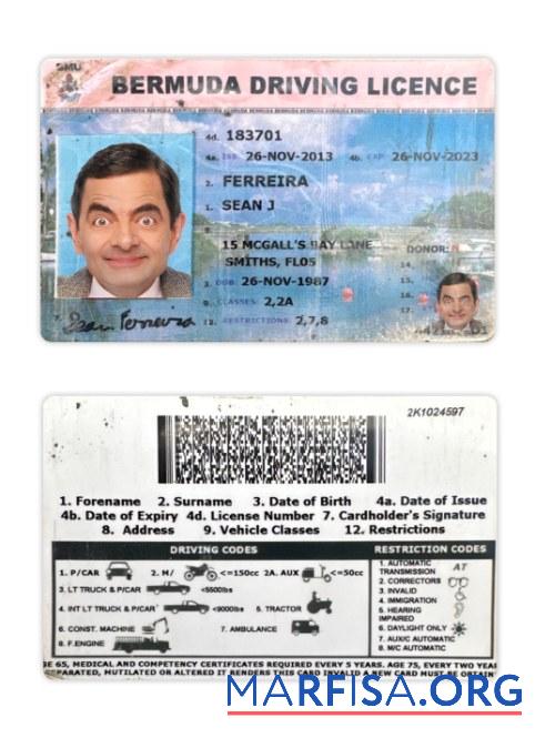 Bermuda Führerschein Vorschau