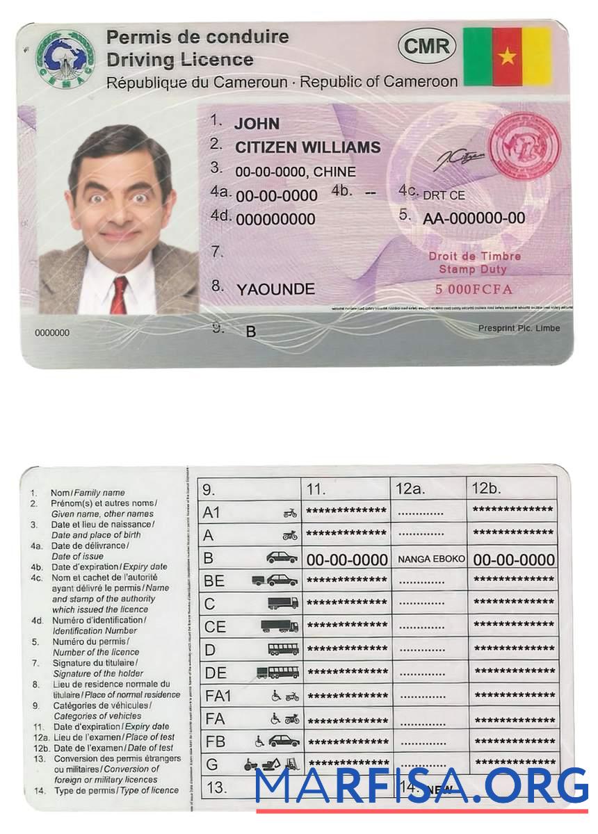 Kamerun Führerschein Design