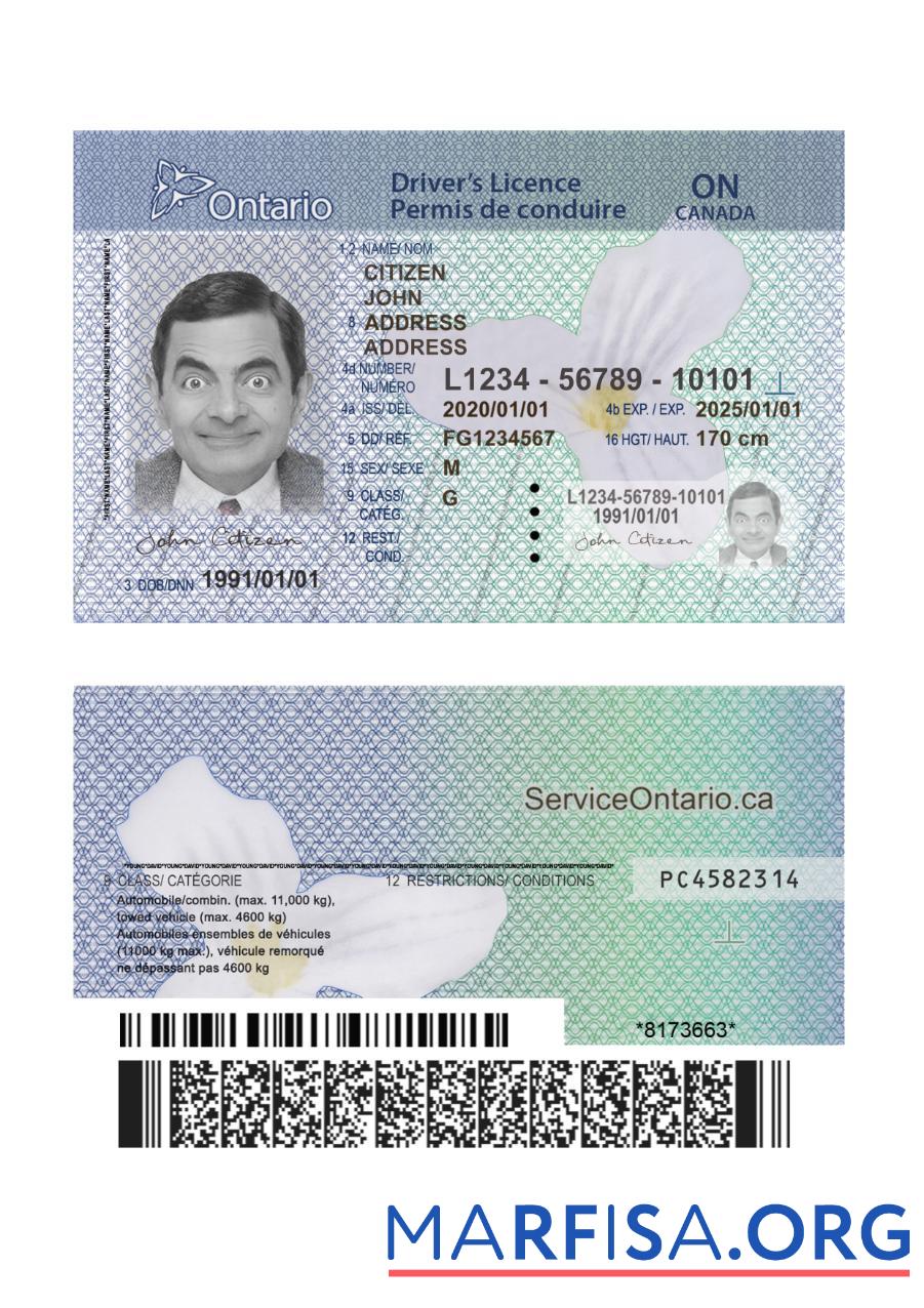 Kanada Ontario DL (2018 ΓÇô Gegenwärtig) Version 2 Vorschau
