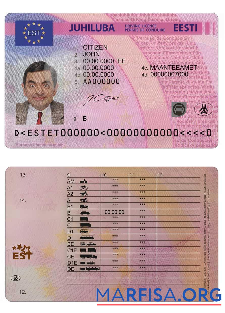 Estland Führerschein Vorlage