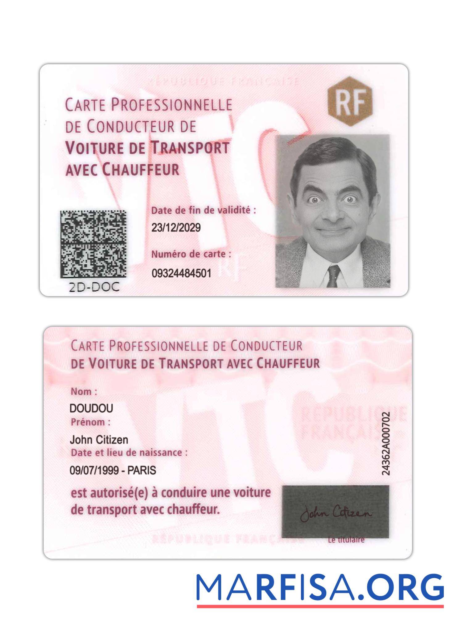 Frankreich Professionell driver's Karte Vorschau