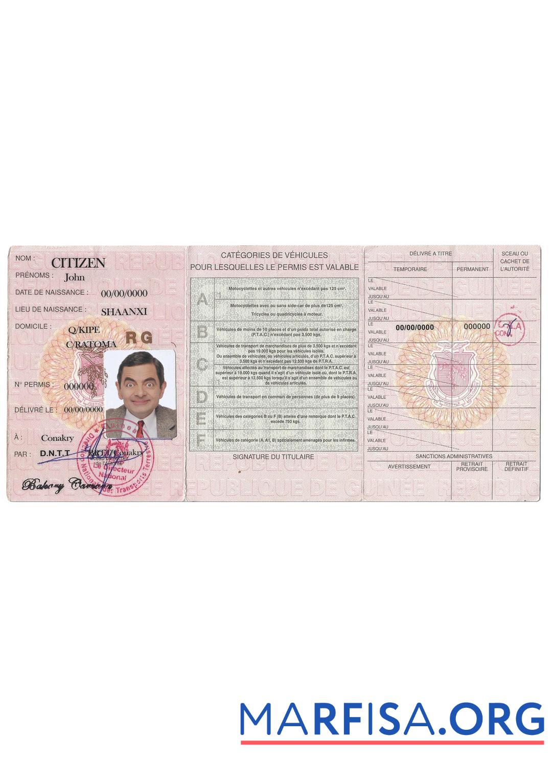 Guinea Führerschein Vorlage