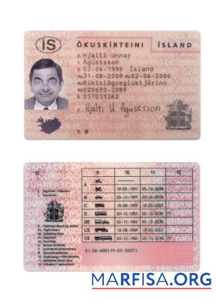 Island Führerschein Probe