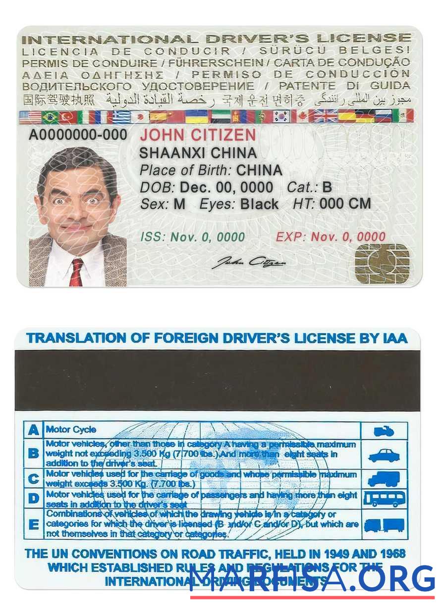 International driverΓÇÖs Lizenz Mockup
