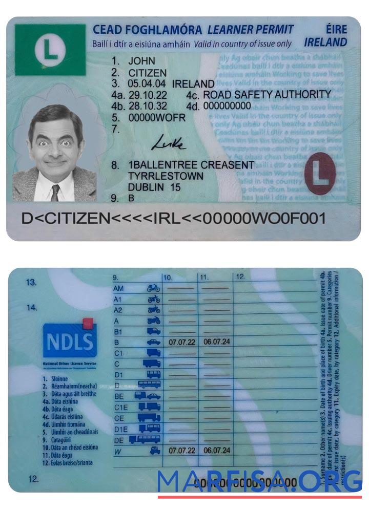 Irland Führerschein (learner Genehmigung) 2022 Gegenwärtig Vorschau
