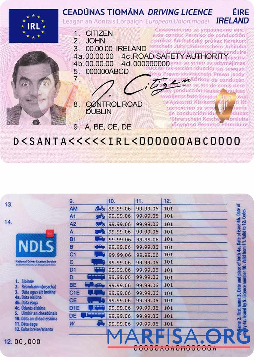 Irland Führerschein Probe