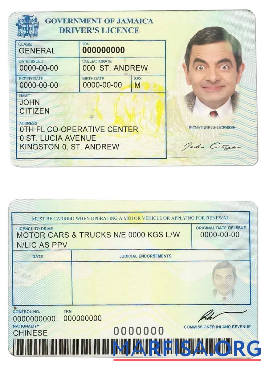 Jamaika Führerschein Probe