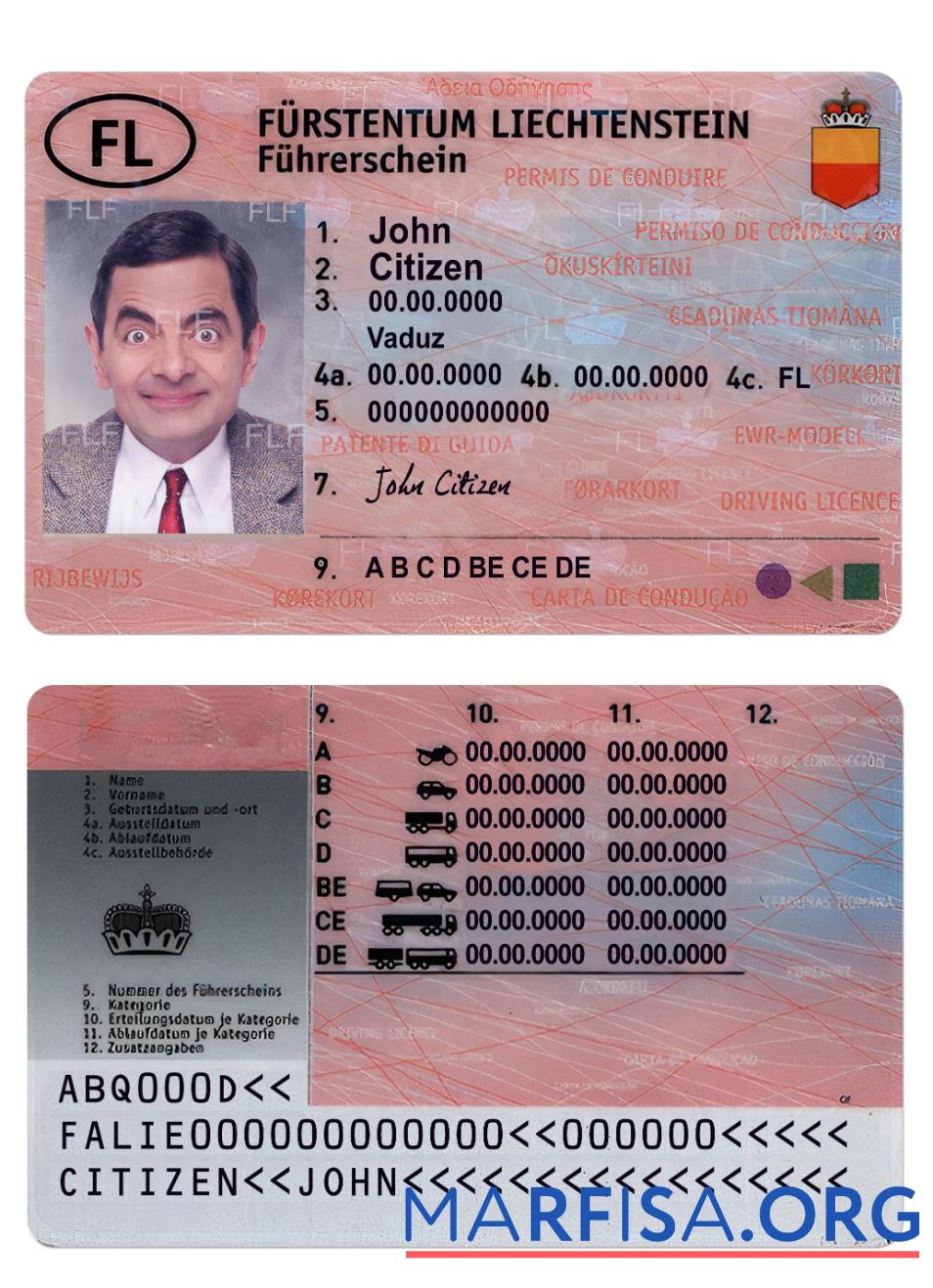 Liechtenstein Führerschein Mockup